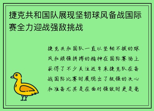 捷克共和国队展现坚韧球风备战国际赛全力迎战强敌挑战